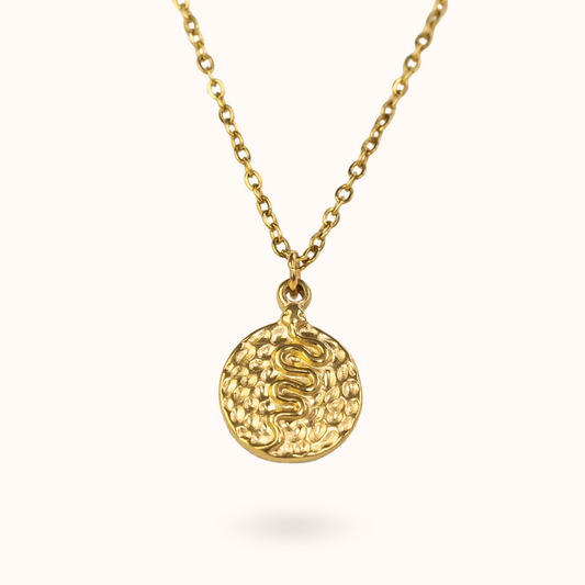 Slang munt ketting goud