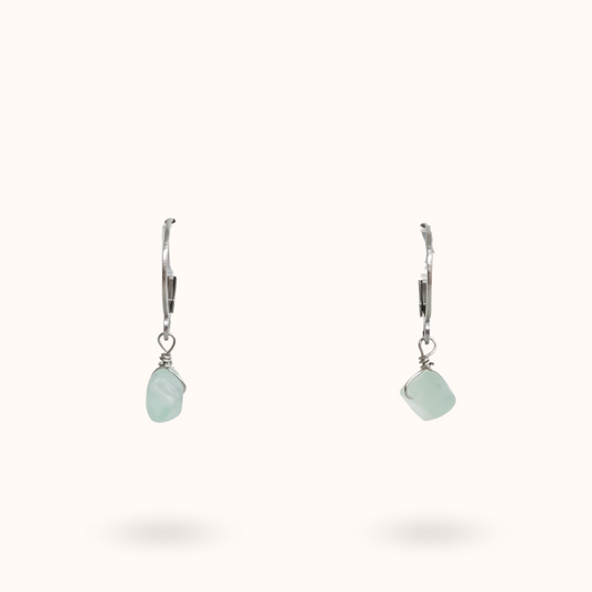 Gemstone Earrings Fluorite (Focus) Silver