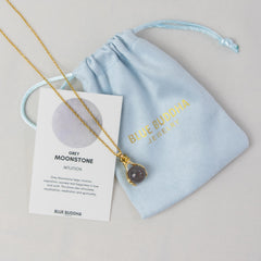 Necklace Hands Grey Moonstone (Intuition) Gold