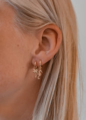 Seahorse Earrings