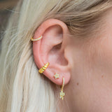 Shiny Cactus Earring